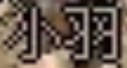 小羽